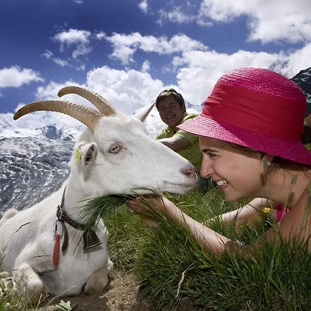 Apartamento Helvetia